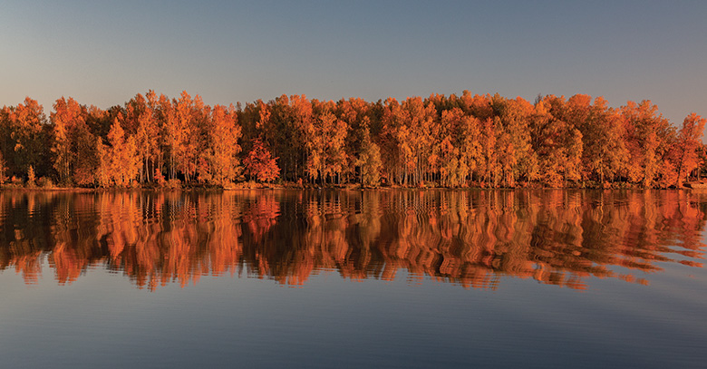 Daugava